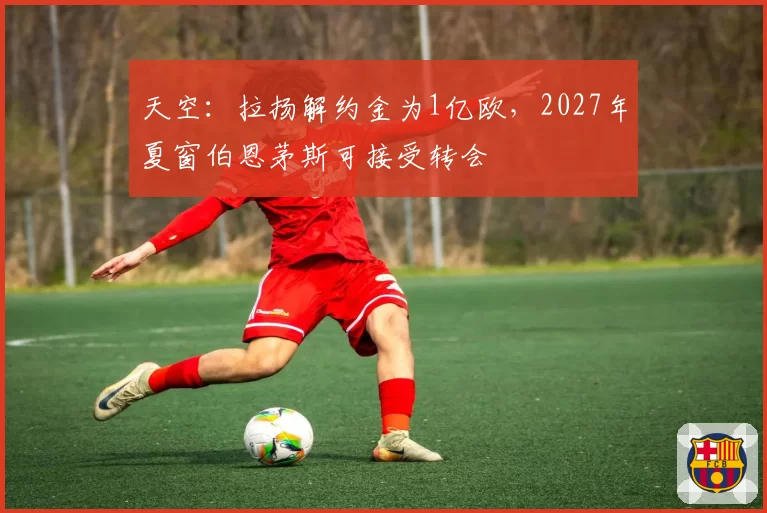 天空：拉扬解约金为1亿欧，2027年夏窗伯恩茅斯可接受转会