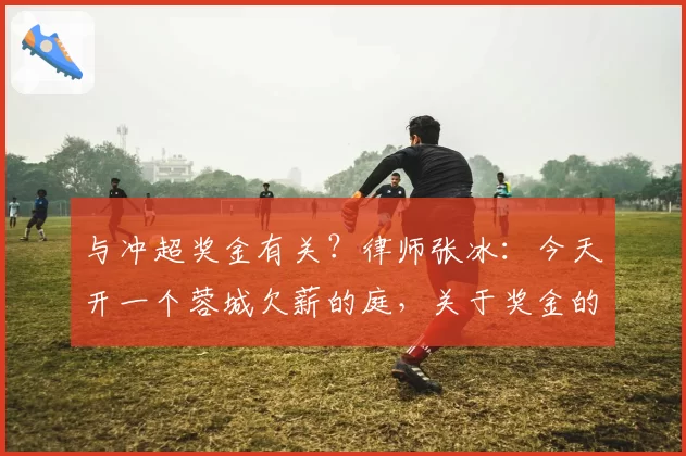 与冲超奖金有关?律师张冰:今天开一个蓉城欠薪的庭,关于奖金的