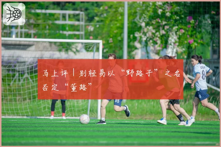 马上评｜别轻易以“野路子”之名否定“董路”