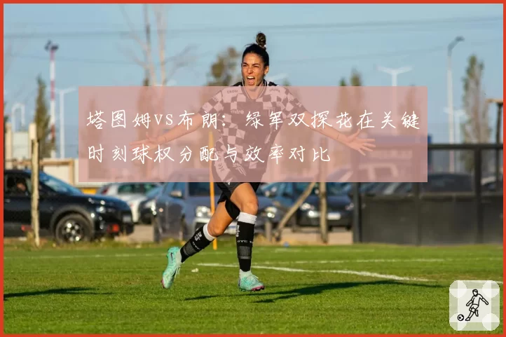 塔图姆vs布朗：绿军双探花在关键时刻球权分配与效率对比